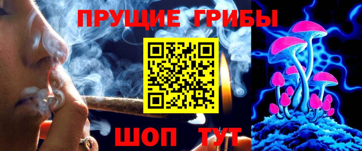 Белогорск  Псилоцибиновые грибы Psilocybe  Вход с VPN 